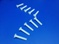 Flat Slotted Machine Screws
